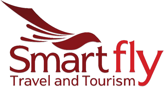 smartfly logo